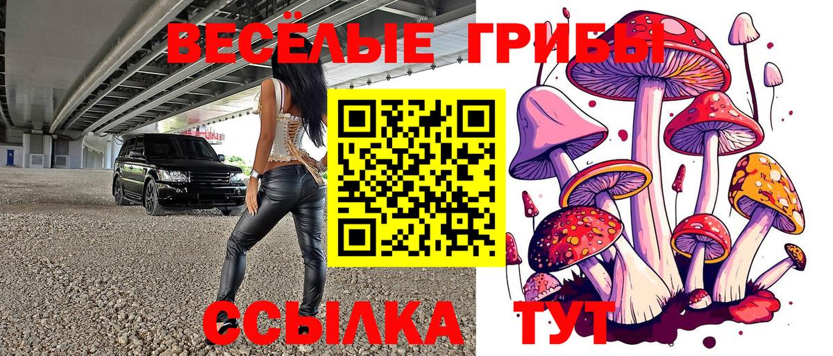 Галлюциногенные грибы прущие грибы  Вход с VPN  Орехово-Зуево 