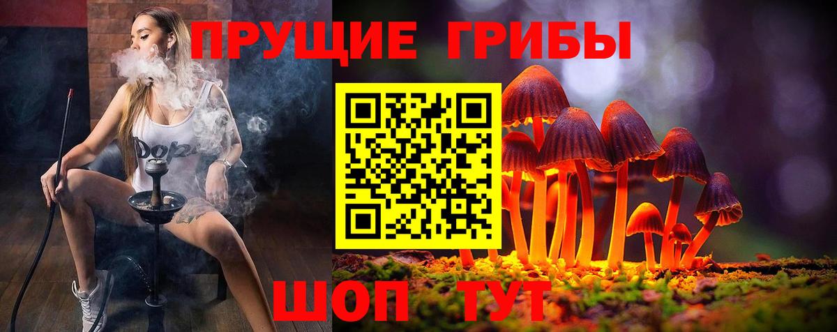 Псилоцибиновые грибы мухоморы Орехово-Зуево